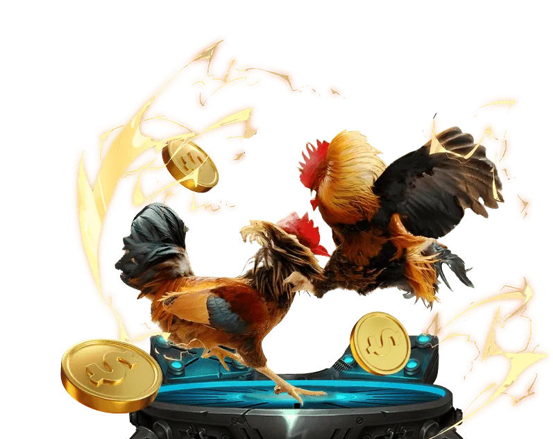 Tầm nhìn phát triển và cơ hội hợp tác